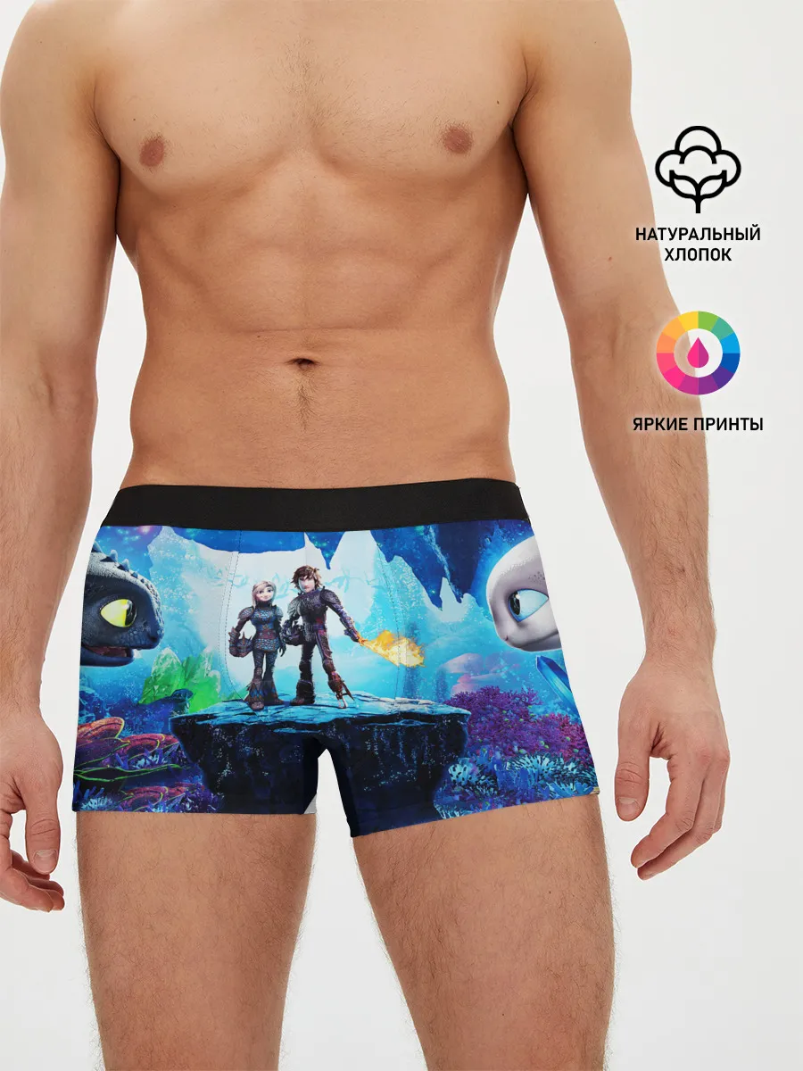 Мужские трусы боксеры / Как приручить Дракона 3
