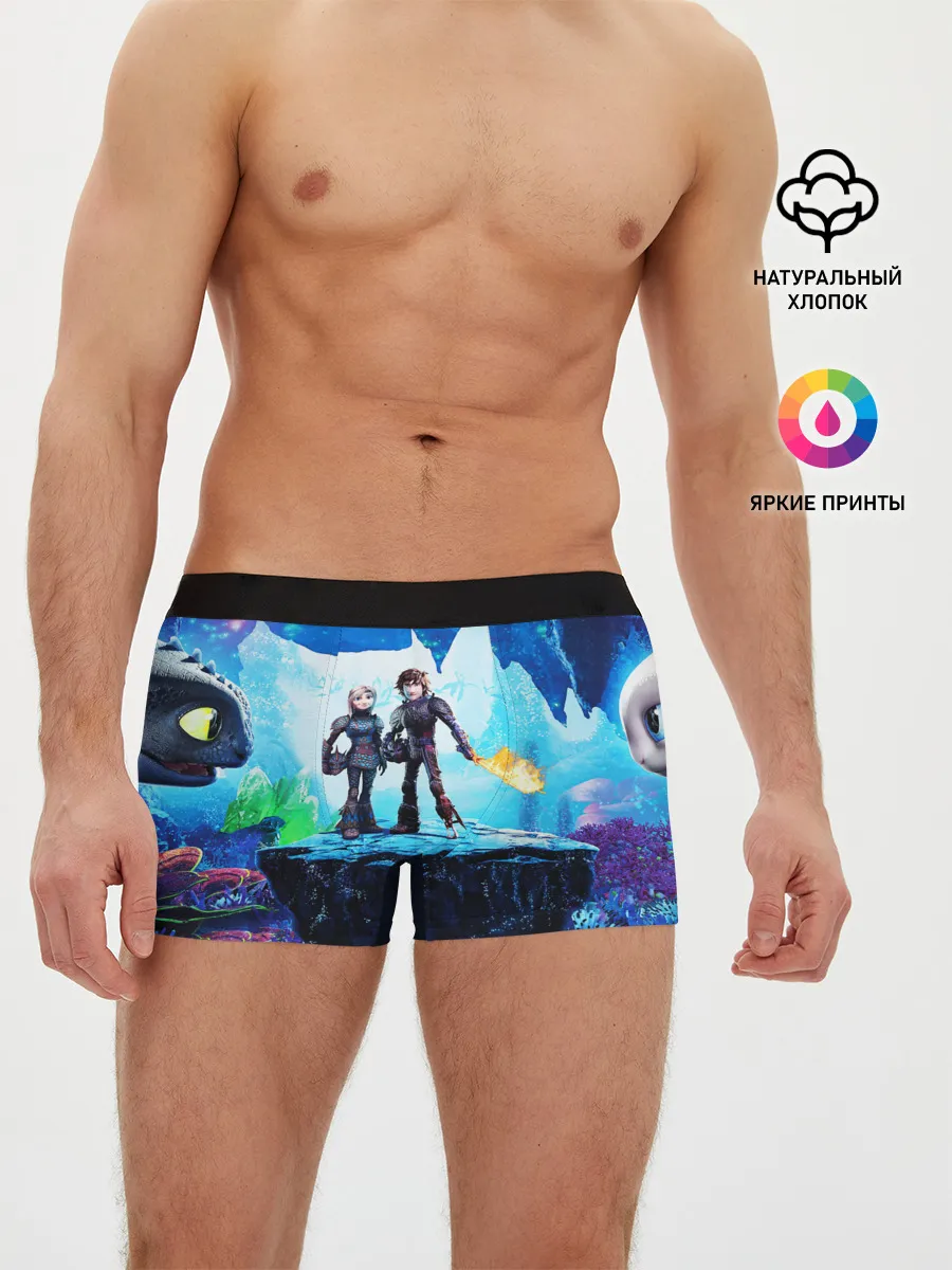 Мужские трусы боксеры / Как приручить Дракона 3