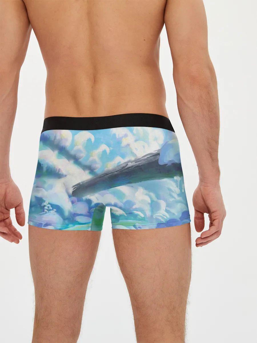 Мужские трусы боксеры / Снежный котенок