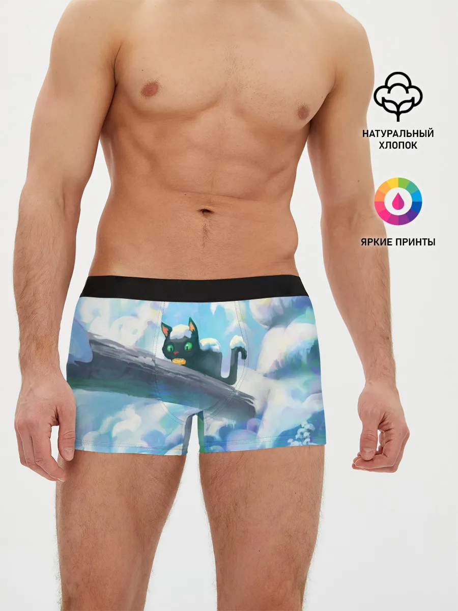 Мужские трусы боксеры / Снежный котенок