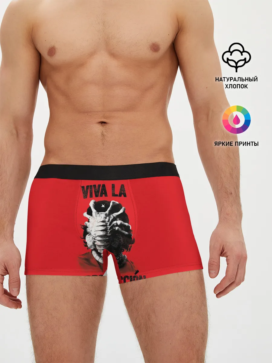 Мужские трусы боксеры / VIVA LA