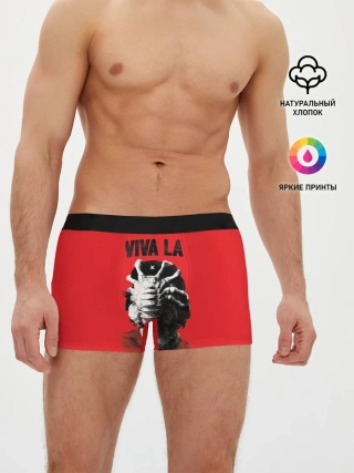 Мужские трусы боксеры / VIVA LA