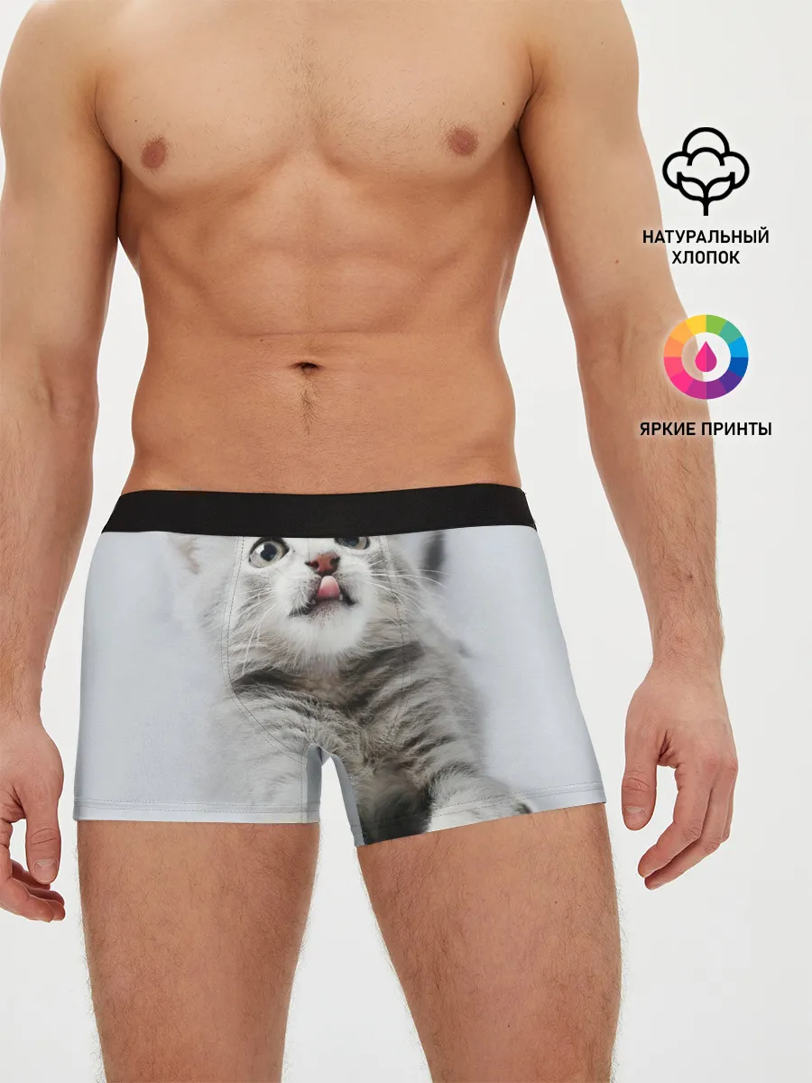 Мужские трусы боксеры / серый котенок