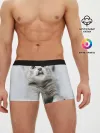 Мужские трусы боксеры / серый котенок