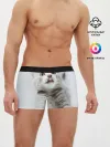 Мужские трусы боксеры / серый котенок