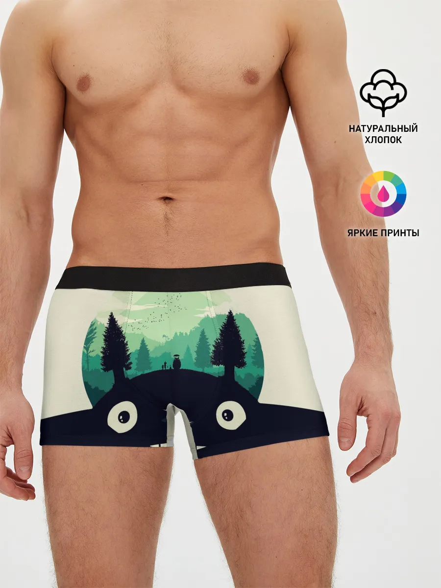 Мужские трусы боксеры / Тоторо охраняет лес