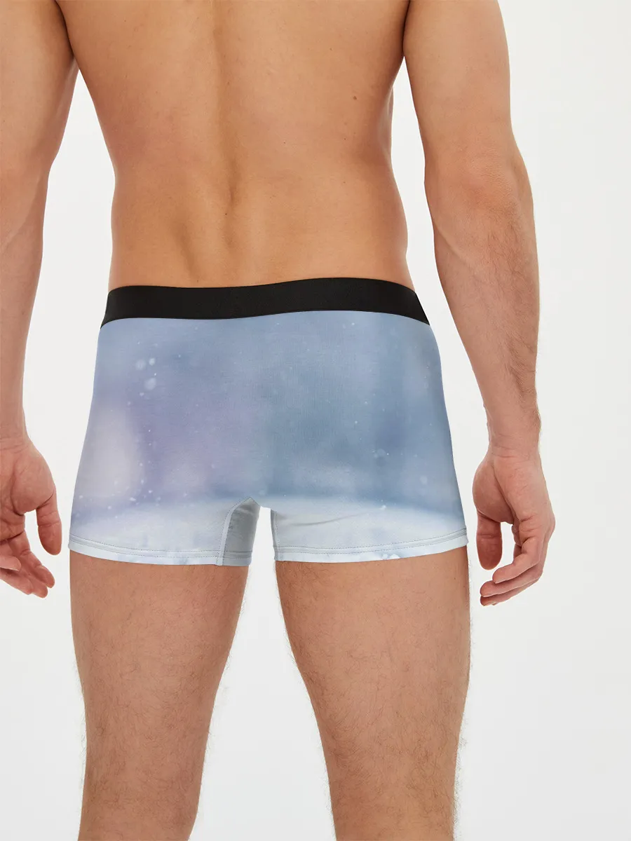 Мужские трусы боксеры / Чихуахуа в снегу