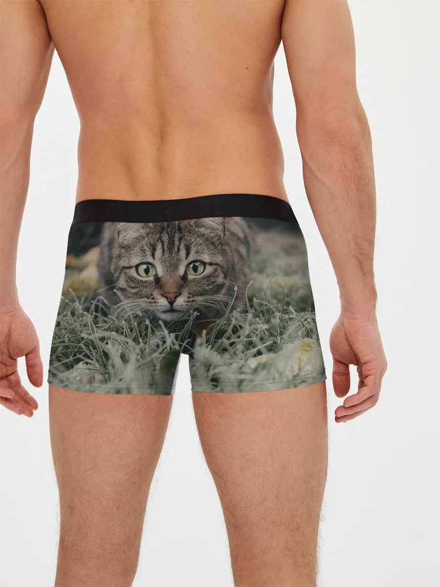 Мужские трусы боксеры / Кошка