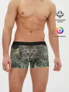 Мужские трусы боксеры / Кошка