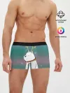 Мужские трусы боксеры / Icebear