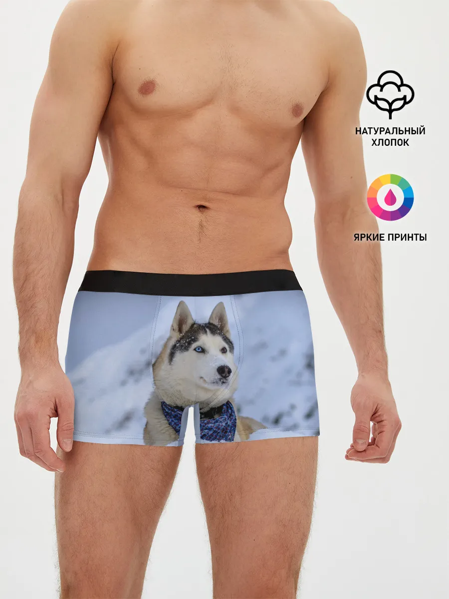 Мужские трусы боксеры / Хаски