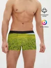 Мужские трусы боксеры / Поле одуванчиков