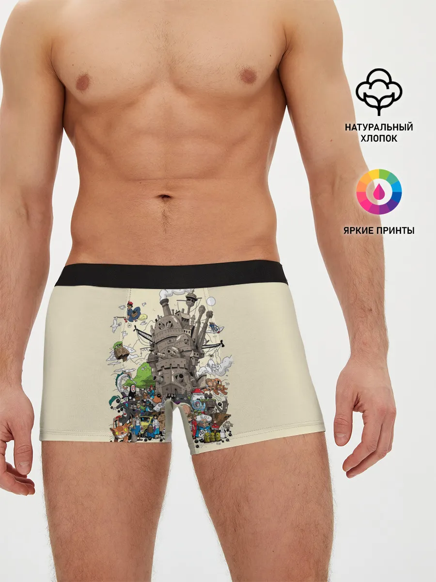 Мужские трусы боксеры / Мир Миядзаки