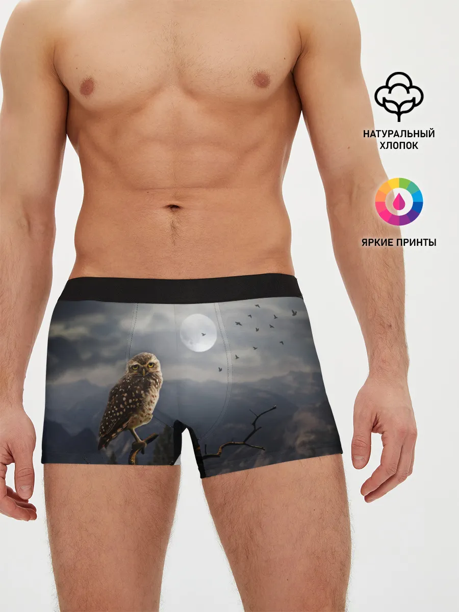 Мужские трусы боксеры / Сова