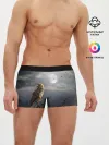 Мужские трусы боксеры / Сова