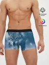 Мужские трусы боксеры / Красивый волк