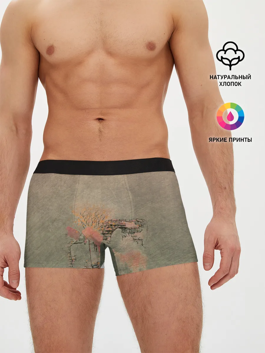 Мужские трусы боксеры / Пейзаж