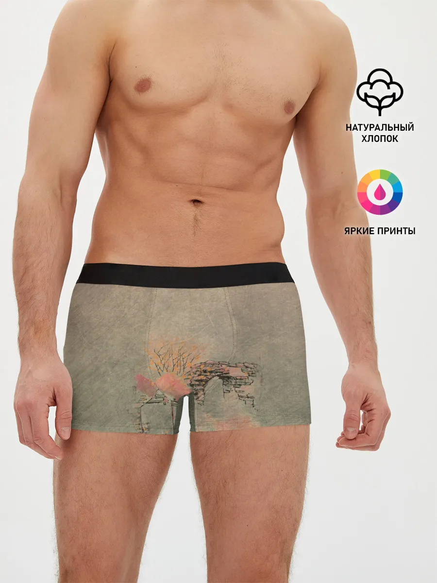 Мужские трусы боксеры / Пейзаж
