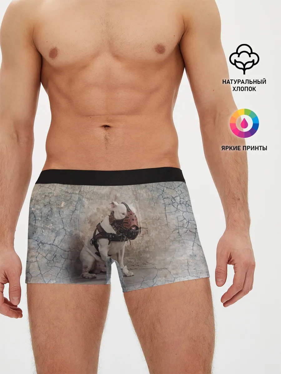 Мужские трусы боксеры / Бойцовый бультерьер