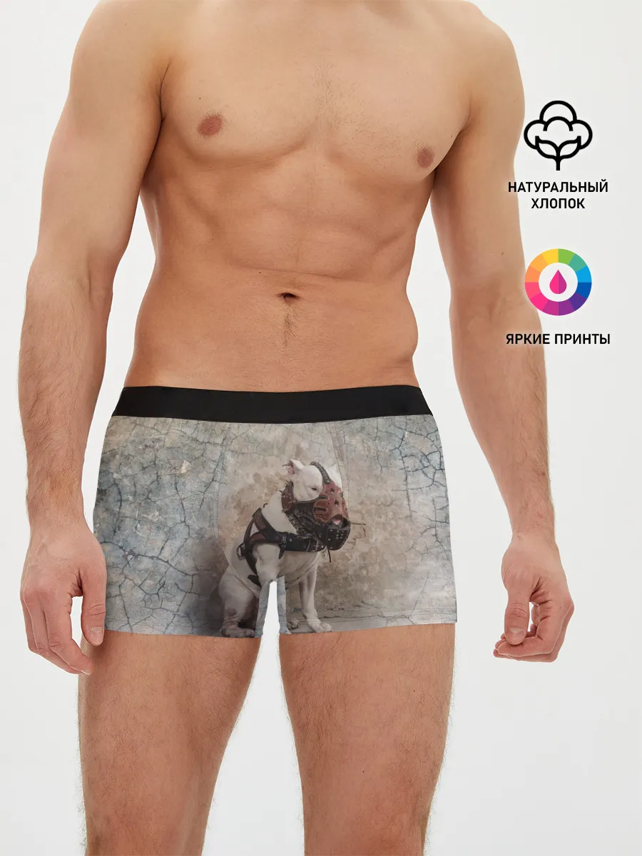 Мужские трусы боксеры / Бойцовый бультерьер