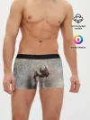 Мужские трусы боксеры / Бойцовый бультерьер