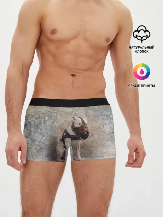 Мужские трусы боксеры / Бойцовый бультерьер