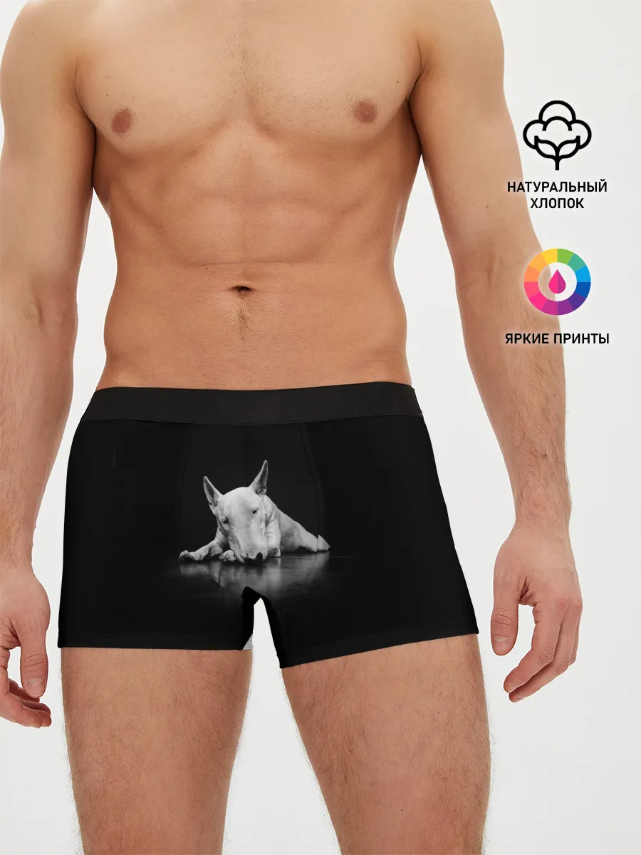 Мужские трусы боксеры / Puppy