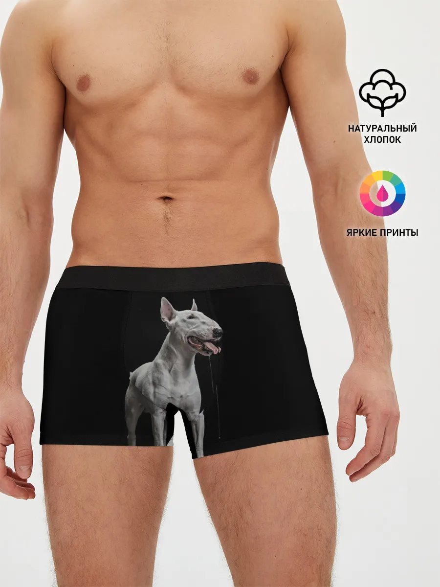 Мужские трусы боксеры / Bully