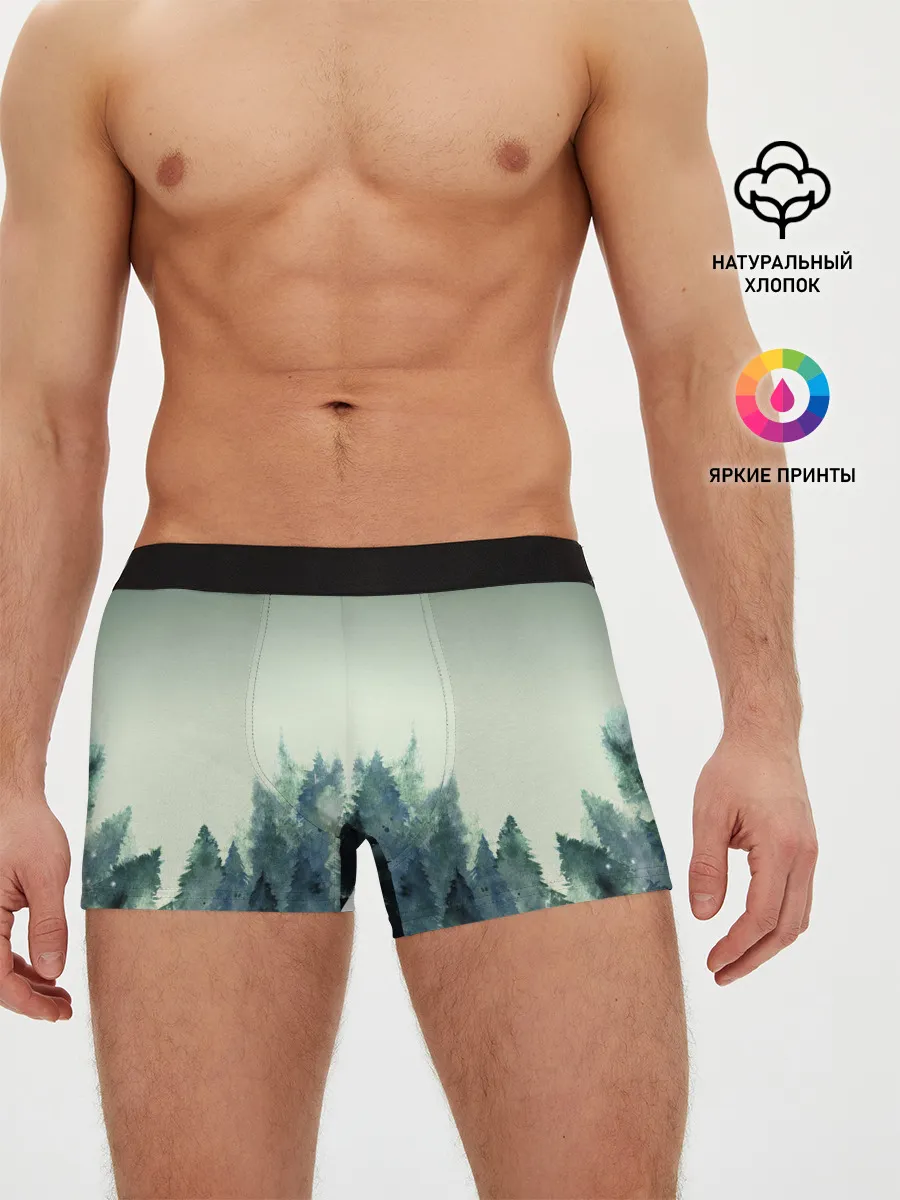 Мужские трусы боксеры / акварельный лес градиент