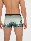 Мужские трусы боксеры / акварельный лес градиент