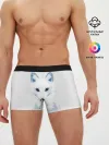 Мужские трусы боксеры / Полярная Лиса