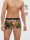 Мужские трусы боксеры / Dog