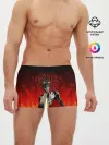 Мужские трусы боксеры / HADES ZAGREUS