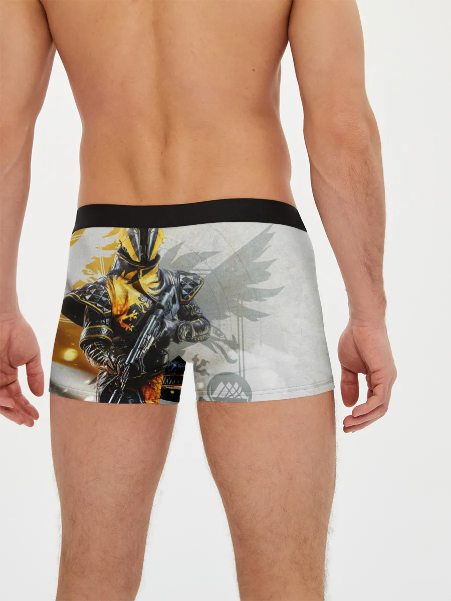 Мужские трусы боксеры / DESTINY, WARLOCK