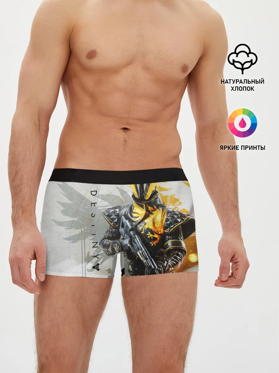 Мужские трусы боксеры / DESTINY, WARLOCK