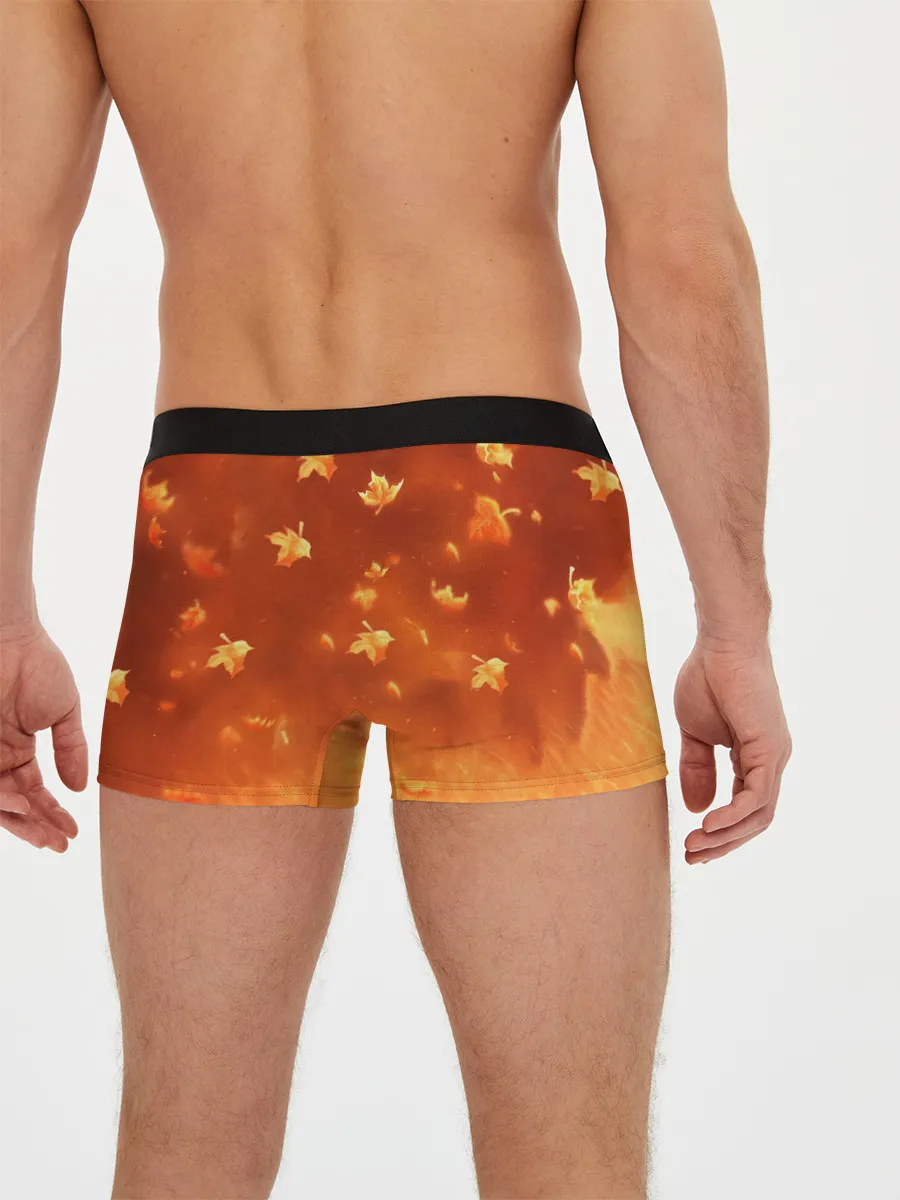 Мужские трусы боксеры / Лисенок