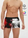 Мужские трусы боксеры / ASSASSINS CREED