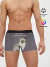 Мужские трусы боксеры / Грустный кот