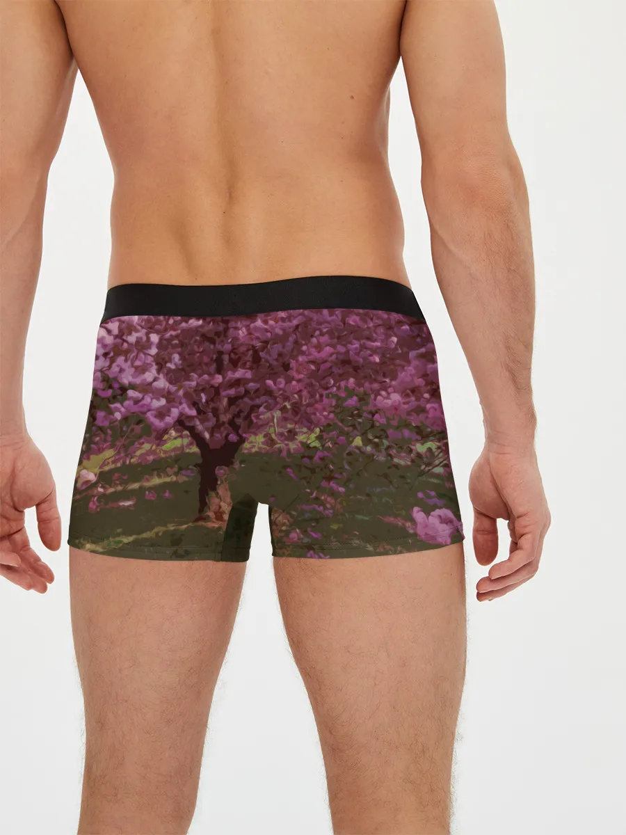 Мужские трусы боксеры / Zero Two Сад сакуры