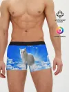 Мужские трусы боксеры / Кот в облаках