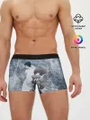 Мужские трусы боксеры / Врата Штейна
