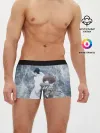 Мужские трусы боксеры / Врата Штейна