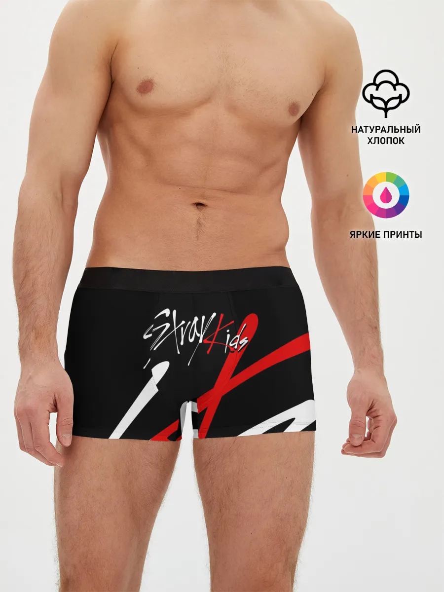 Мужские трусы боксеры / STRAY KIDS