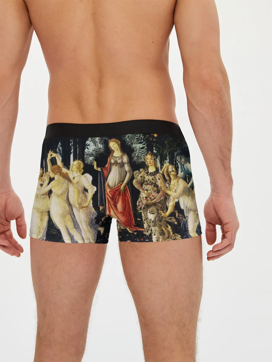 Мужские трусы боксеры / весна боттичелли