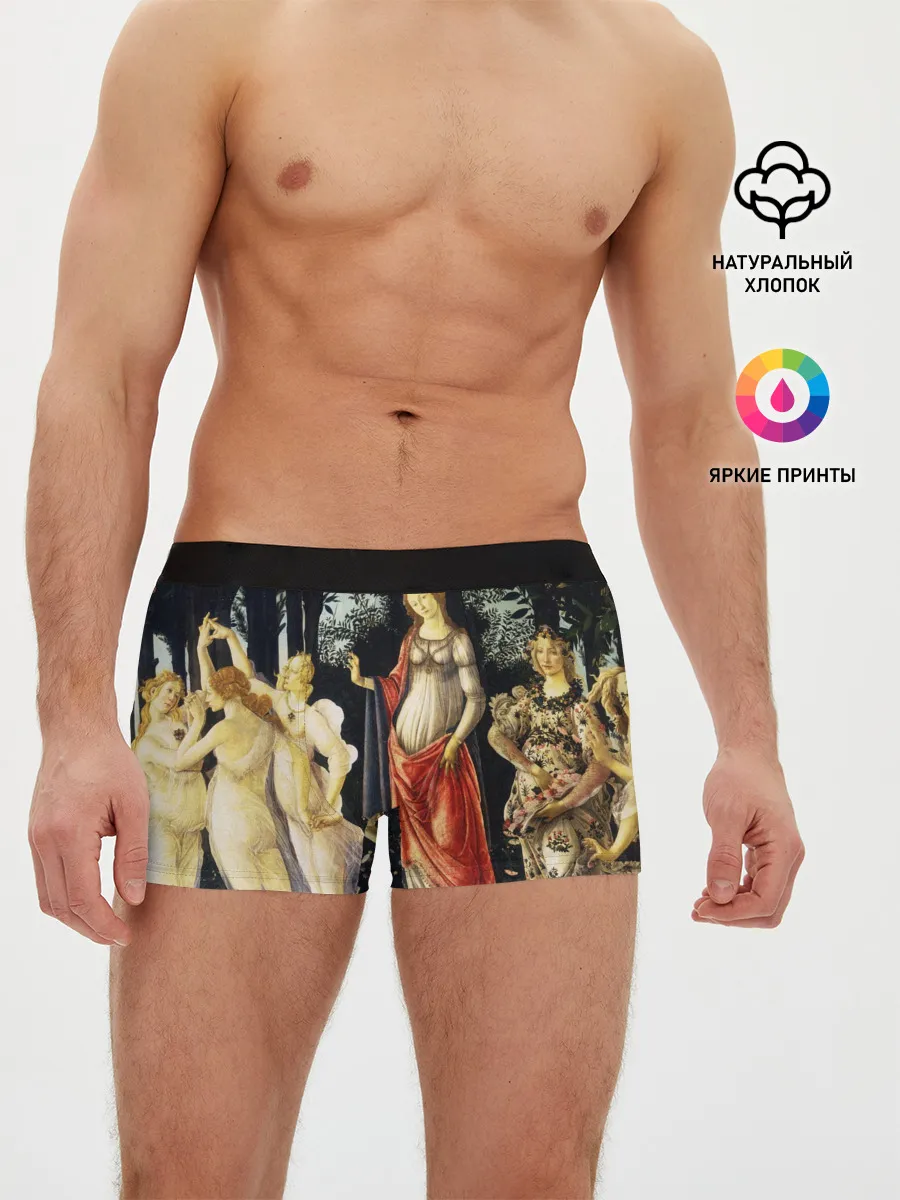 Мужские трусы боксеры / весна боттичелли