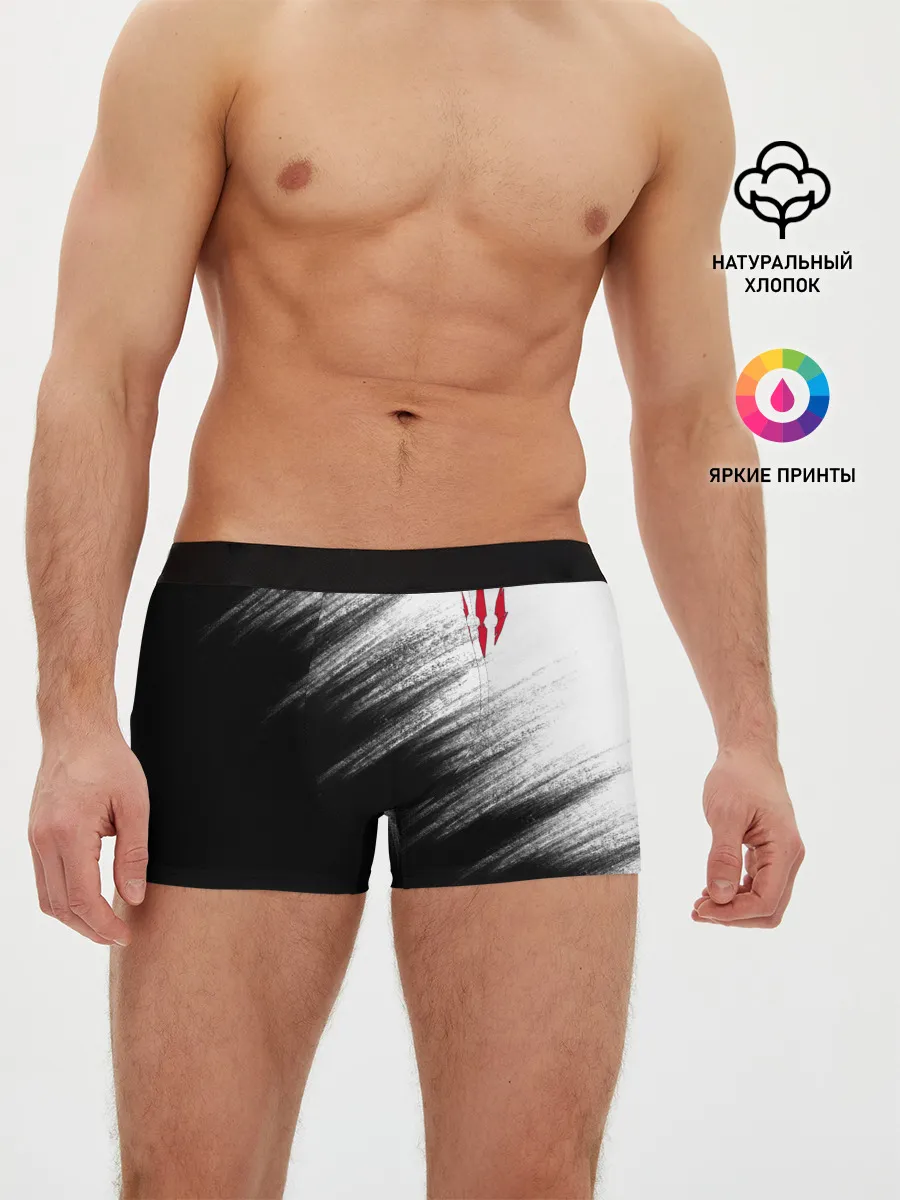 Мужские трусы боксеры / The Witcher