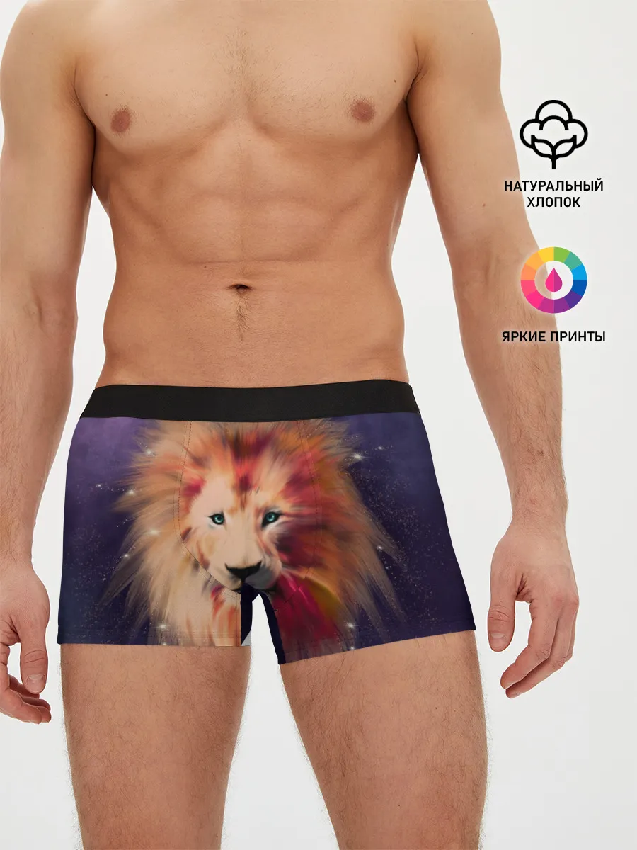 Мужские трусы боксеры / Space Lion