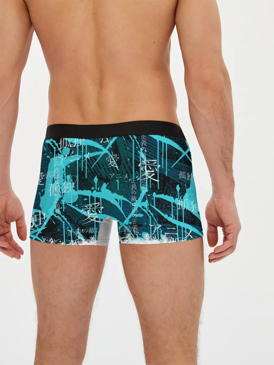 Мужские трусы боксеры / Тоторо