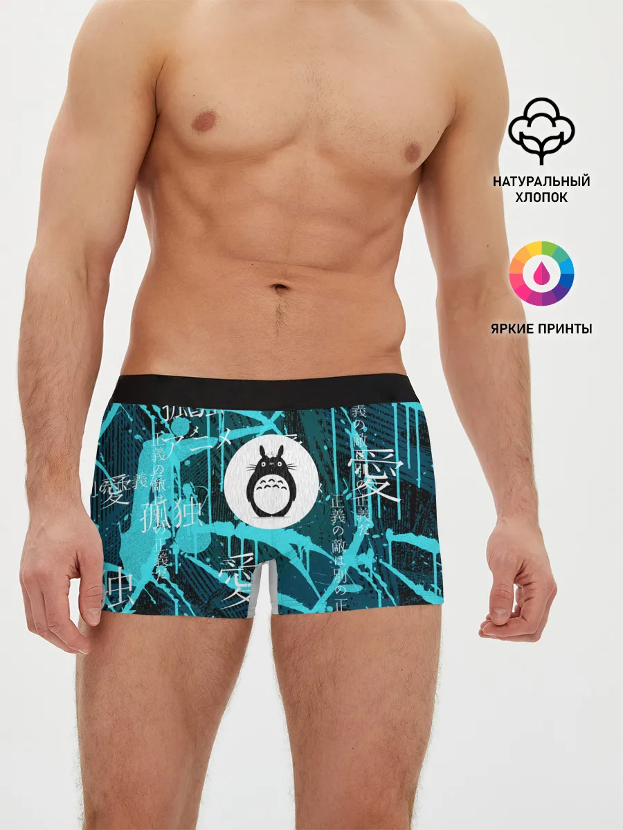 Мужские трусы боксеры / Тоторо