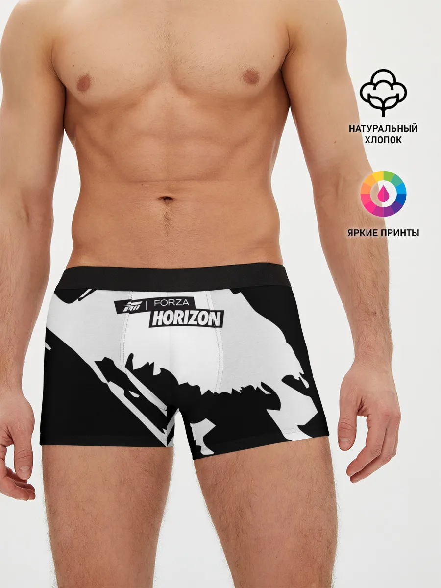 Мужские трусы боксеры / Forza Horizon
